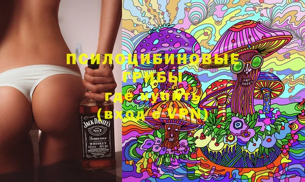 прущая мука Алзамай